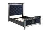 ACME Varian II Queen Bed in Black Velvet & Sliver FINISH BD00584Q