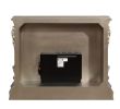 ACME Danae FIREPLACE Antique Silver & Gold Finish AC01618