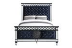 ACME Varian II Queen Bed in Black Velvet & Sliver FINISH BD00584Q